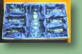 f_118.jpg