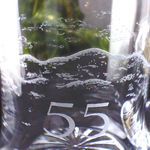 n-20-17060rana-02-m.jpg (8064 bytes)
